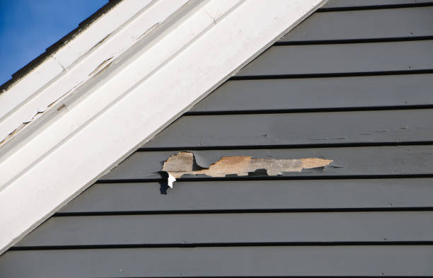  Canterwood, WA Siding Installation Pros