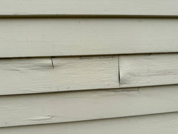 Best Siding for New Construction  in Canterwood, WA